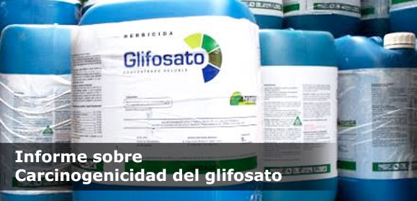 Informe sobre Carcinogenicidad del glifosato